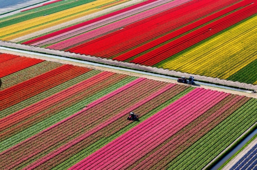 20 places where color rules the world