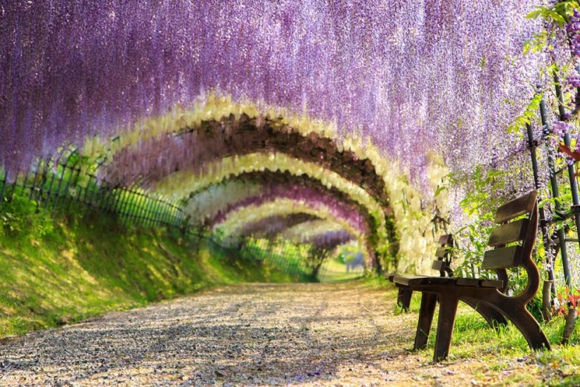 20 real-life places that look like they came out of fairy tales