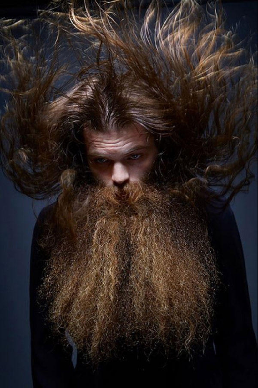 20 señales de que tu barba es demasiado grande