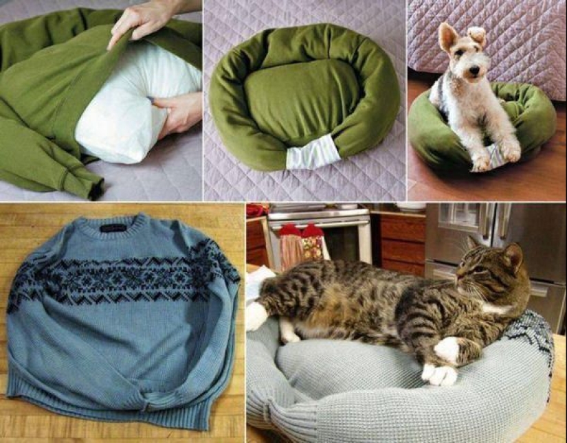 21 life hacks for pet owners