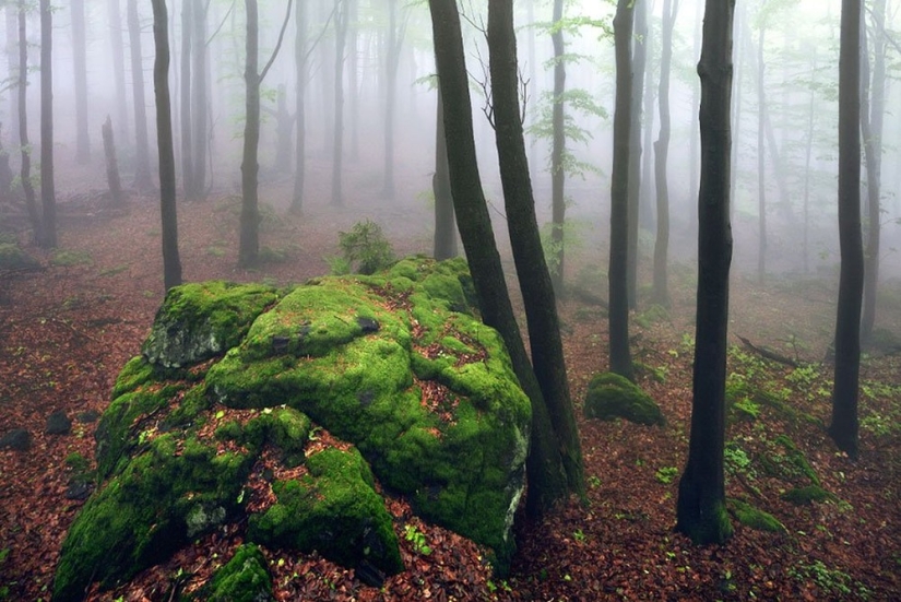 22 amazing landscapes inspired by the fairy tales of the Brothers Grimm