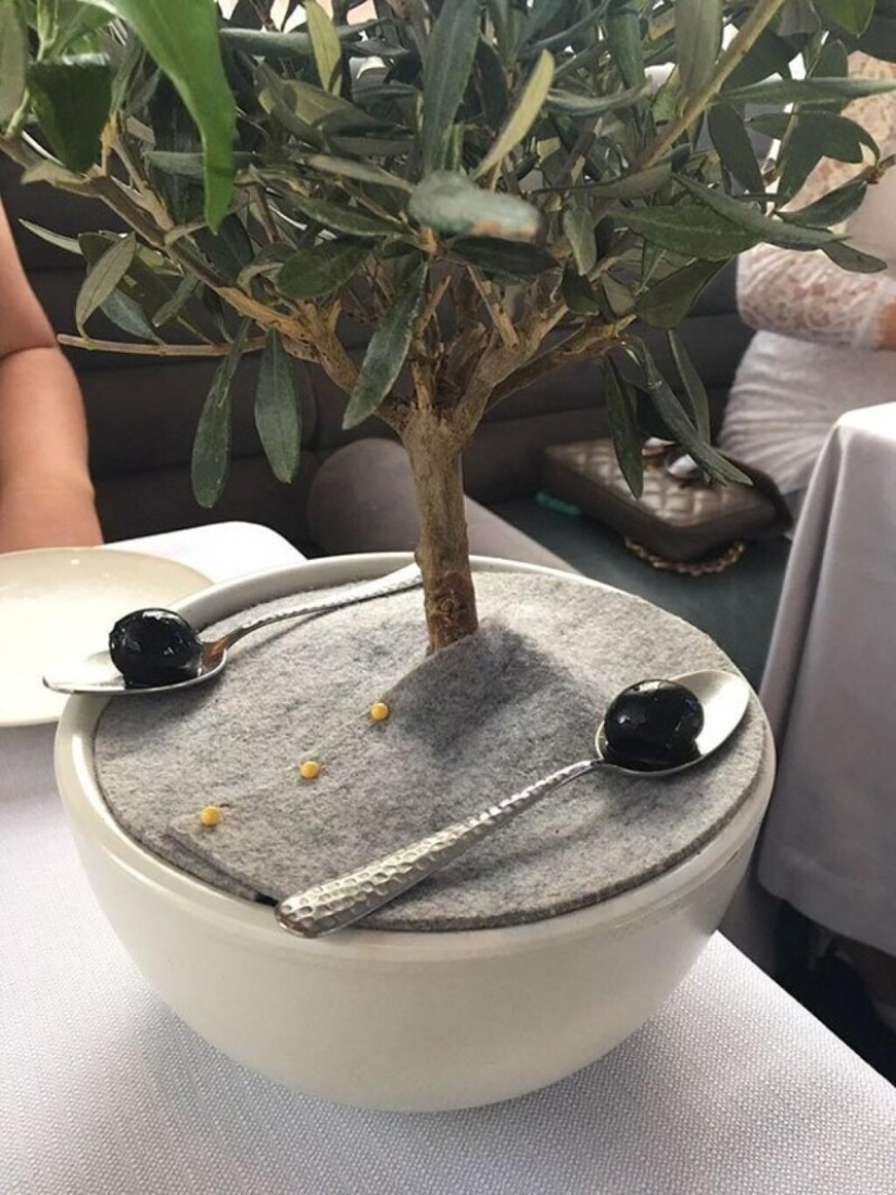 22 cases when the fantasy of restaurants got out of control
