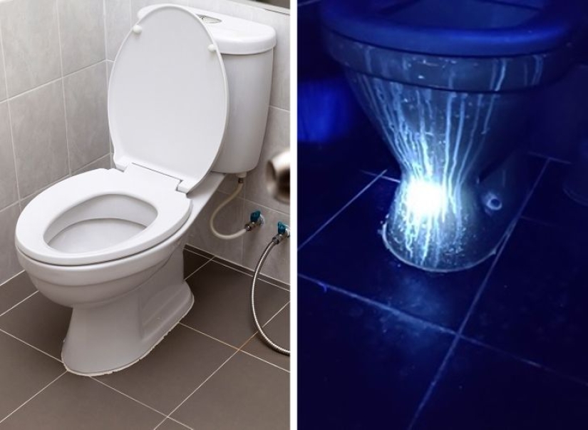 22 examples of how the surrounding world changes under an ultraviolet lamp
