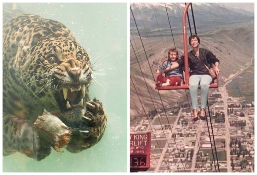 22 fotos de cosas muy extrañas y hasta aterradoras que realmente existen