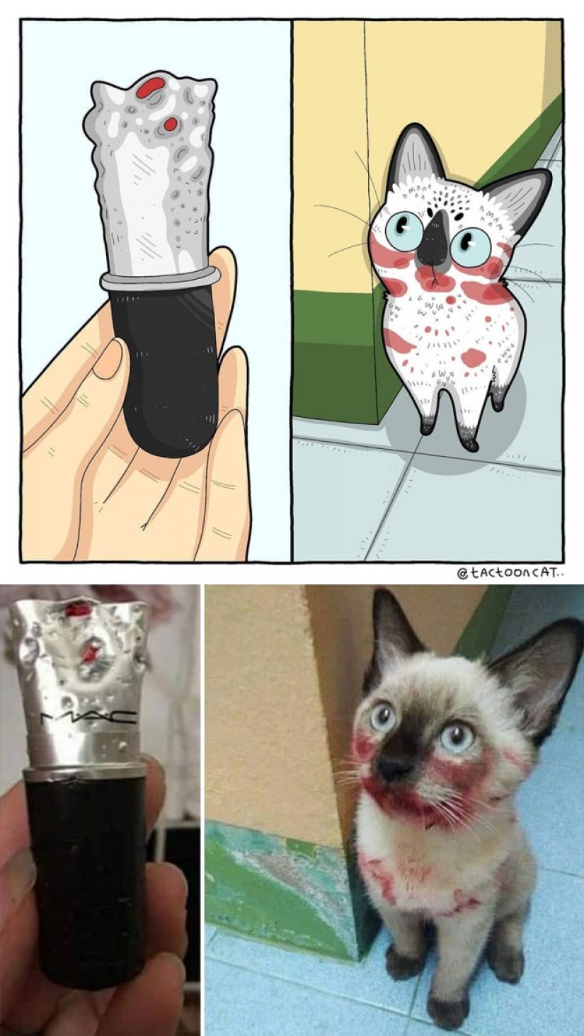 22 funny cat photos from the web that were turned into cartoon illustrations