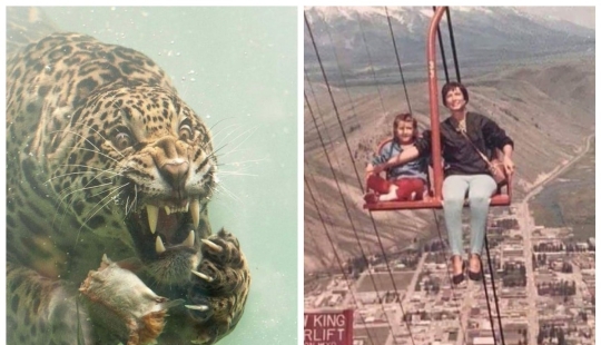 22 photos of very strange and even frightening things that actually exist