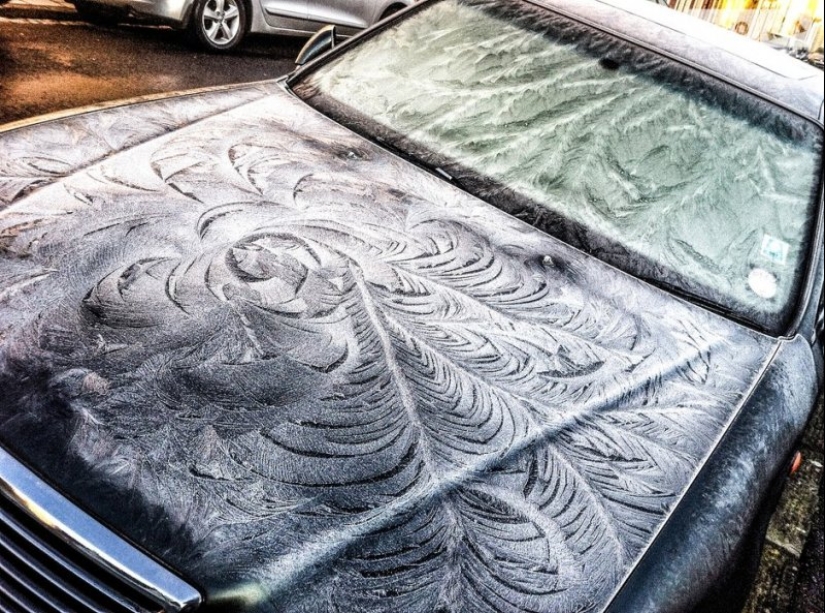 22 photos that show the harsh tricks of frost