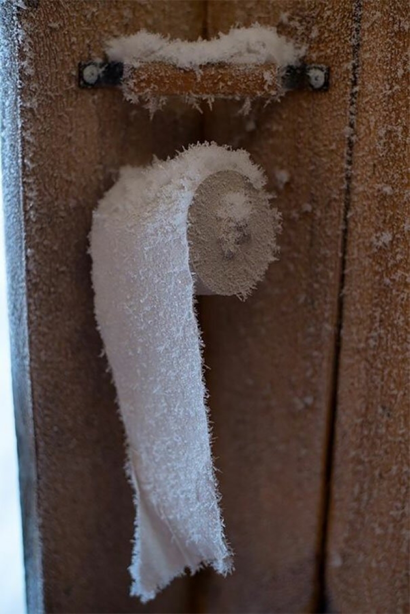 22 photos that show the harsh tricks of frost