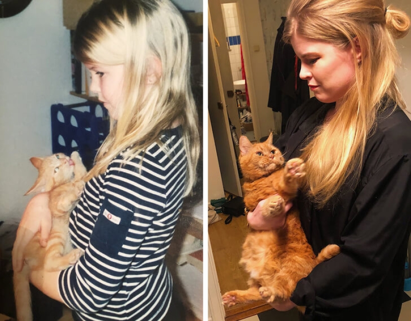 22 proofs that no child should grow up without a pet
