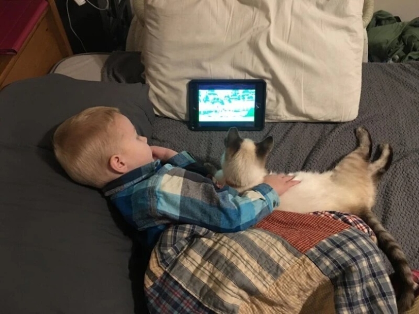 22 proofs that no child should grow up without a pet
