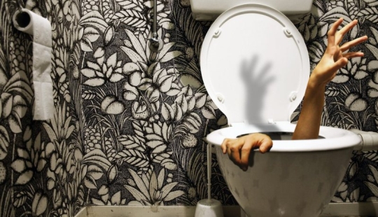 22 toilets where something strange happens