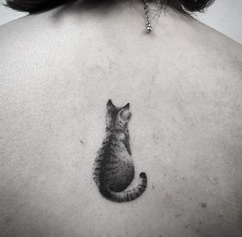 23 best tattoo ideas for dedicated seal lovers