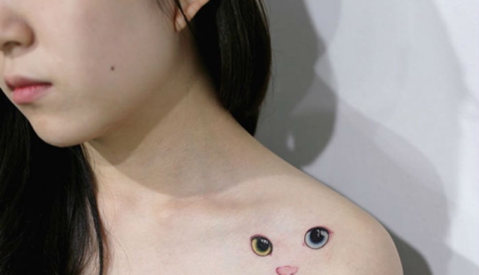 23 best tattoo ideas for dedicated seal lovers
