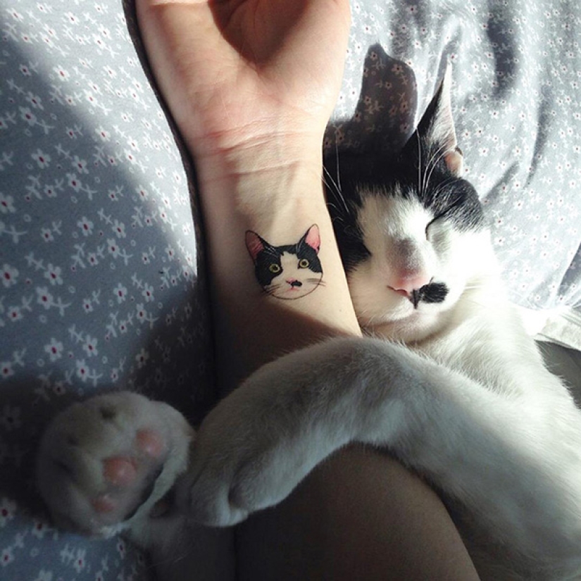 23 mejores ideas de tatuajes para amantes dedicados de las focas