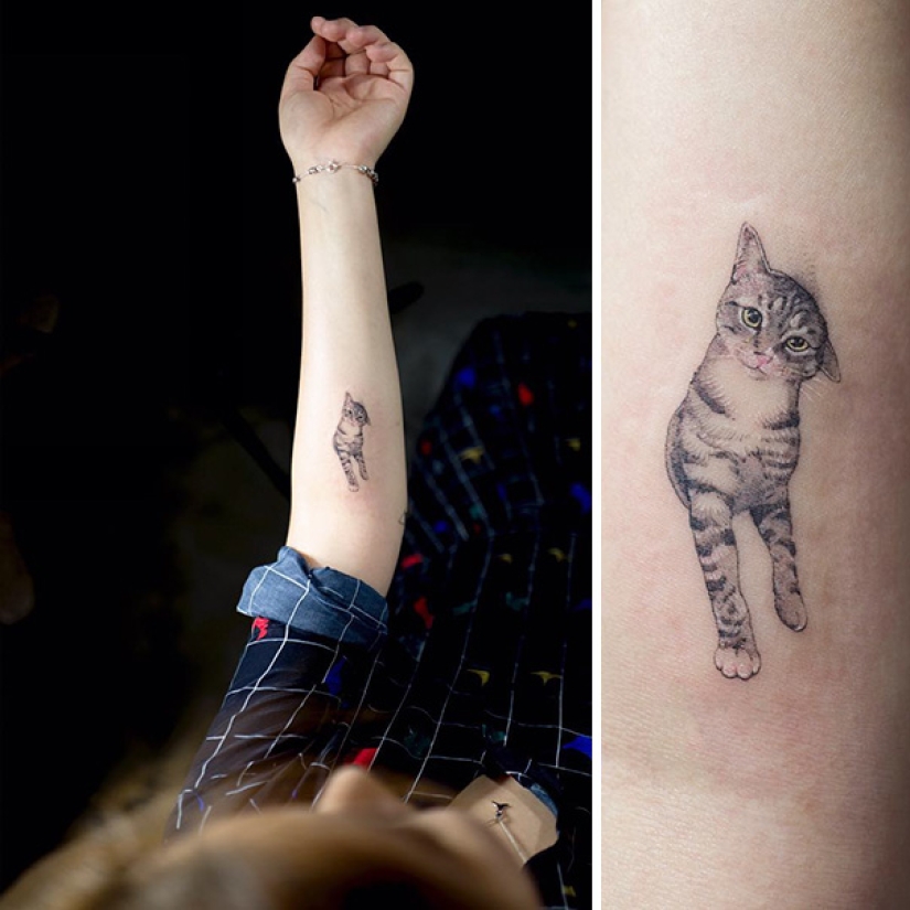23 mejores ideas de tatuajes para amantes de los sellos dedicados