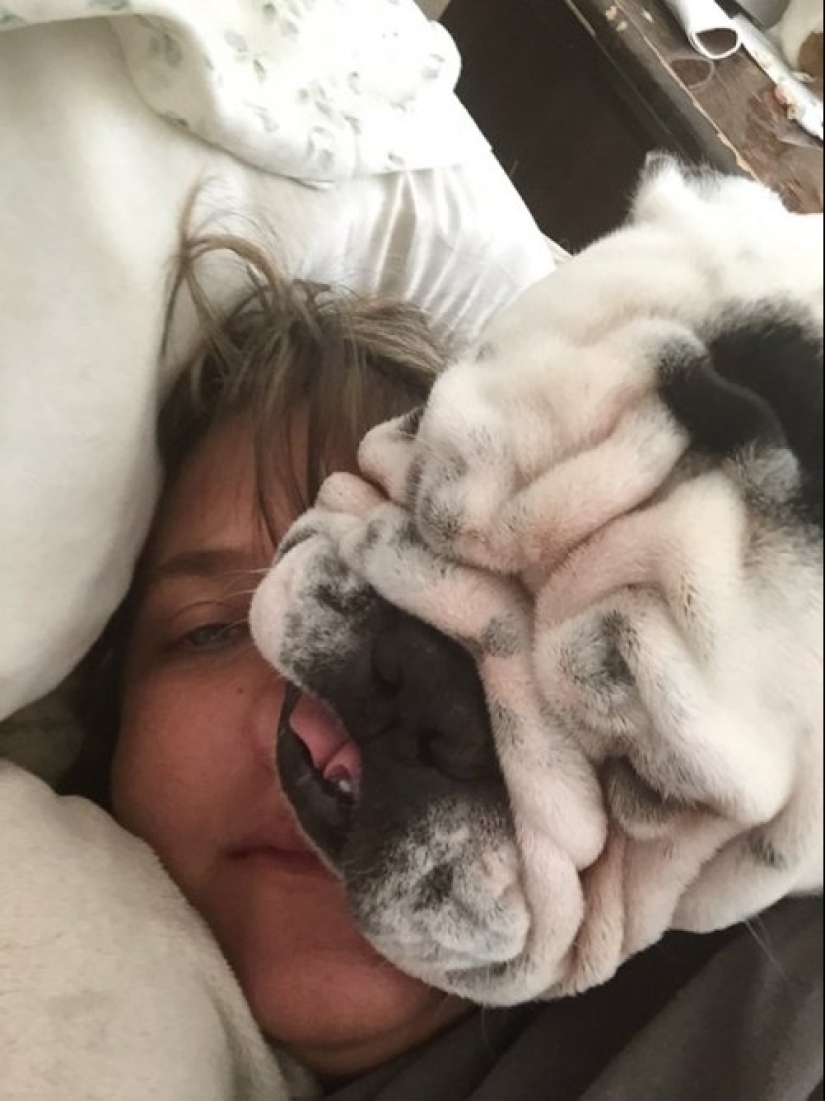 23 photos of pets that literally sat on the owners ' heads