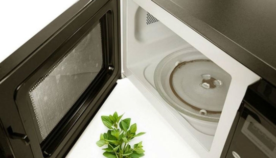 25 consejos ingeniosos para usar un horno de microondas para otro propósito que no sea el previsto