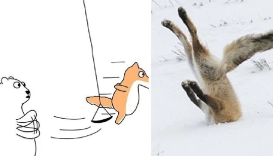 25 cute comics based on photo memes about animals