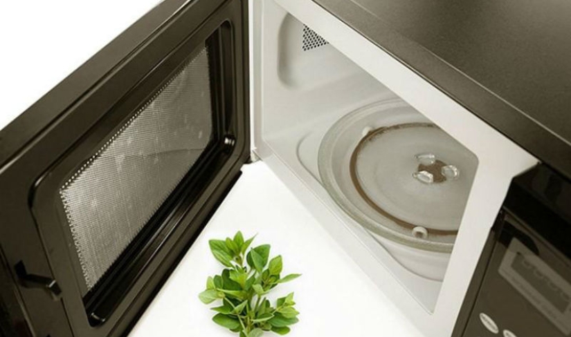 25 ingenious tips for using a microwave oven for other than its intended purpose