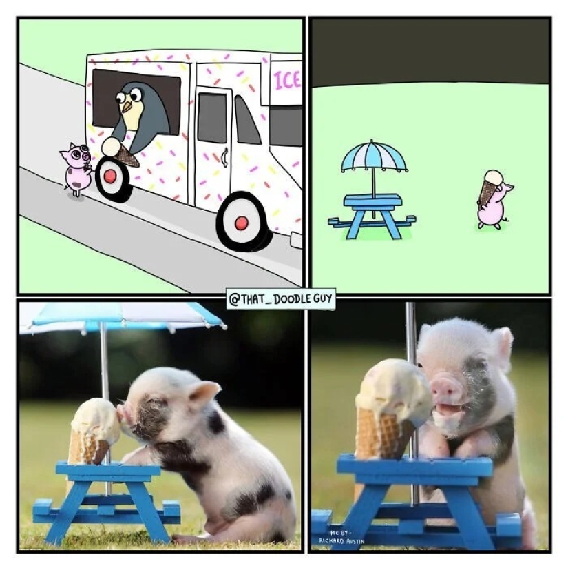 25 lindos cómics basados en memes fotográficos sobre animales