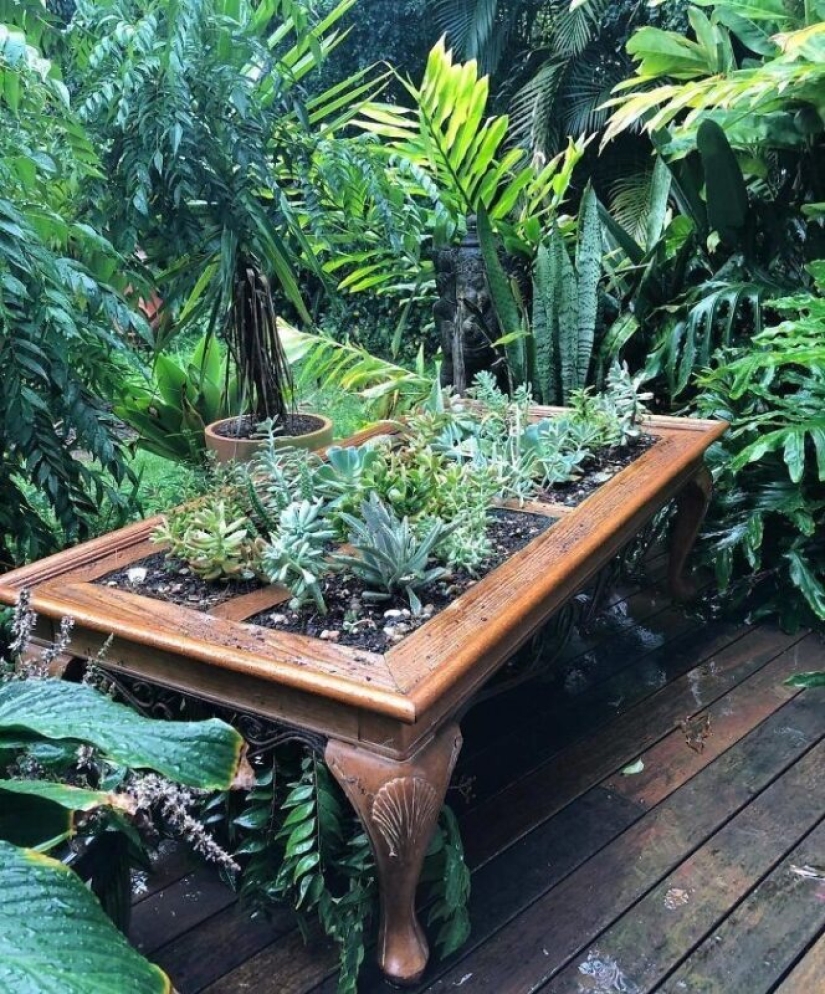25 mesas con "jardines" de suculentas