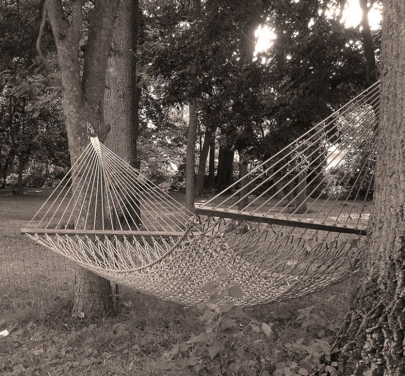 25 places ideal for lying in a hammock