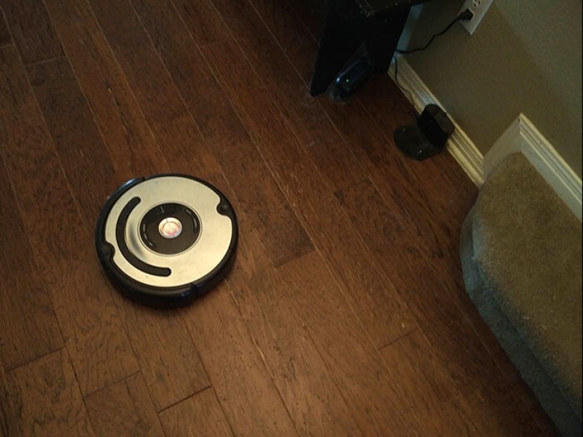 25 proofs that robot vacuum cleaners are still pranksters