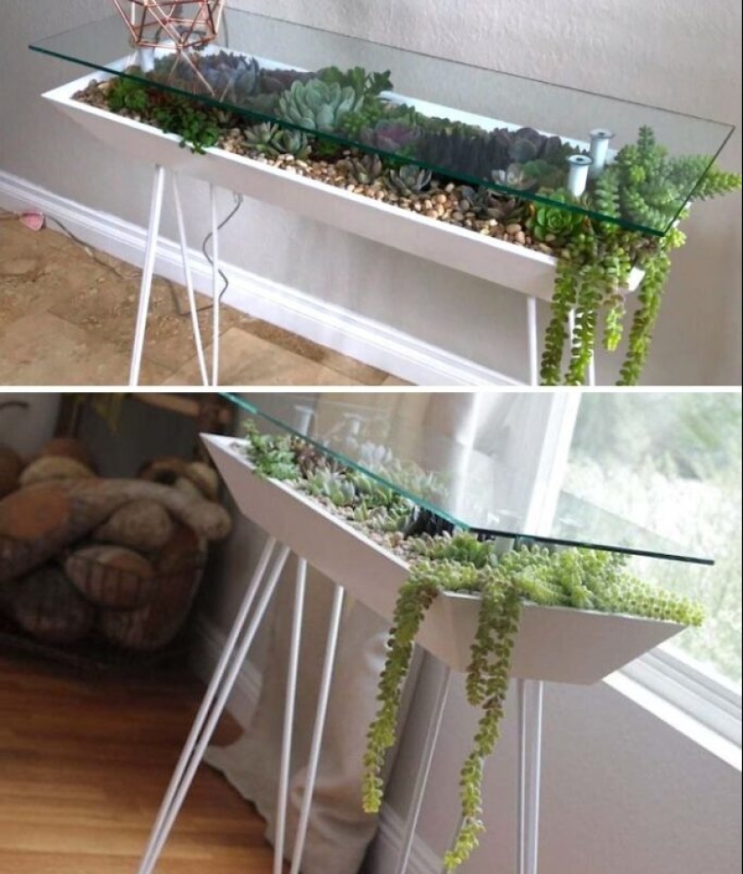 25 tables with" gardens " of succulents