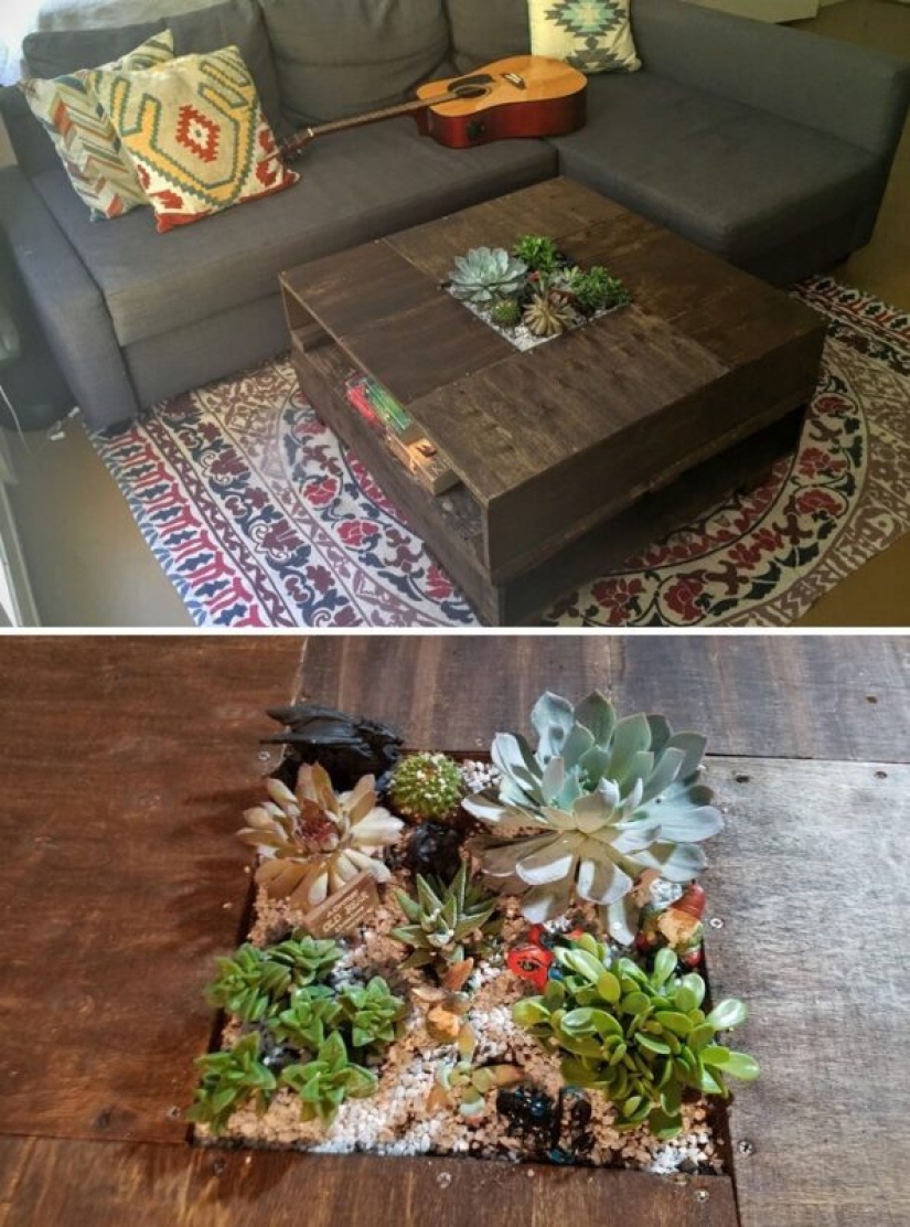 25 tables with" gardens " of succulents