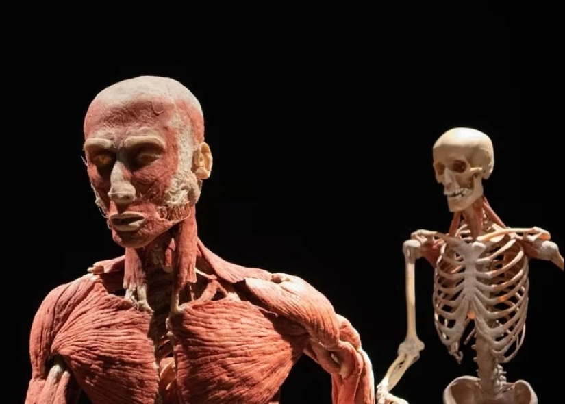 25 weird, creepy and creepy facts about the human body