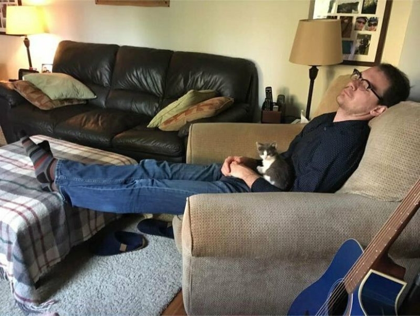 26 fathers who were against "that stupid cat", but something went wrong