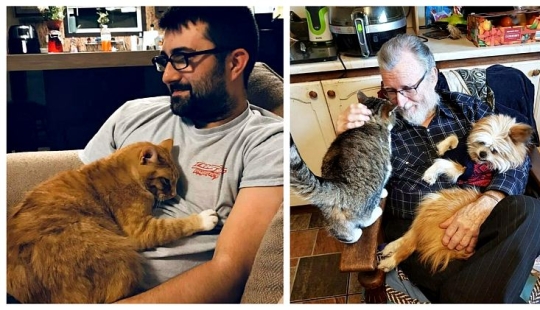 26 fathers who were against "that stupid cat", but something went wrong