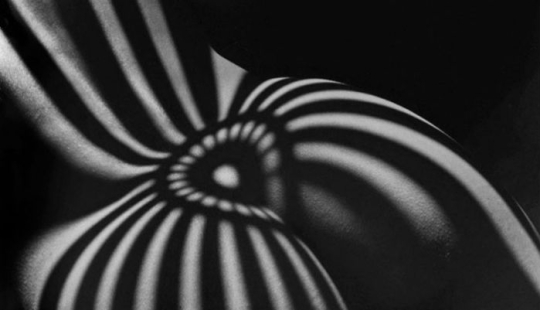 29 creative photographers who know how to play with shadows