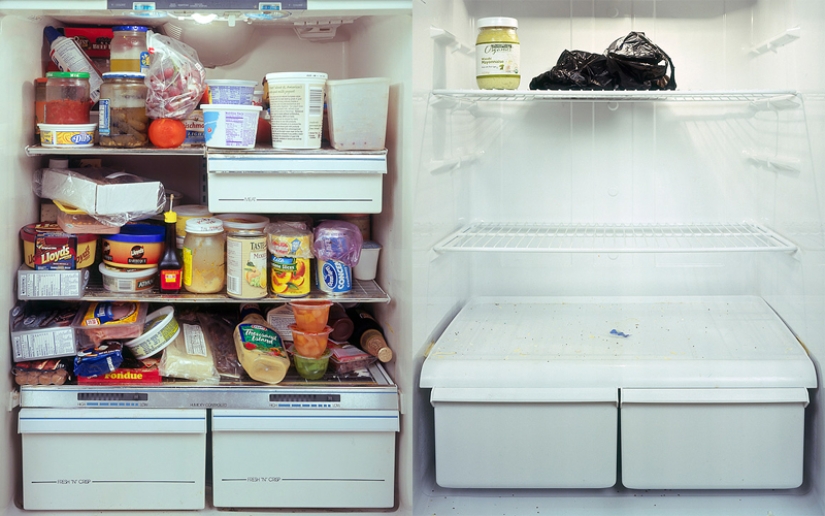 3 best refrigerator photo stories