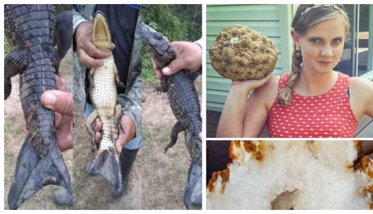 30 amazing finds created by nature and people