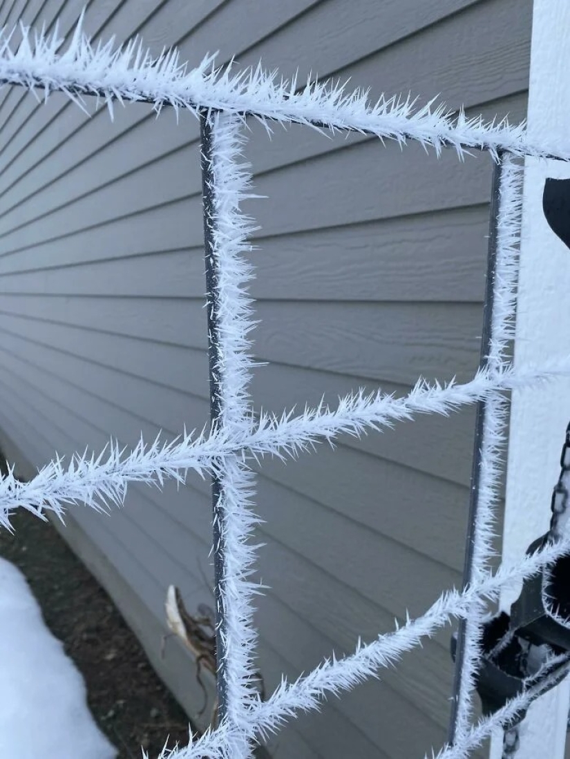 30 cold photos that clearly show the full power of the harsh winter
