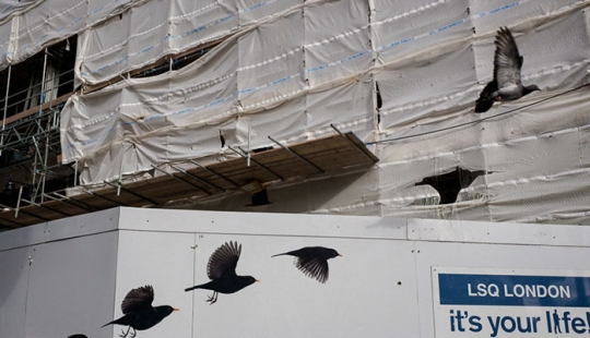 30 fotogramas de fotografía callejera con un momento perfectamente elegido 30 fotogramas de fotografía callejera con un momento perfectamente elegido