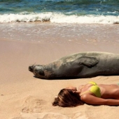 30 fotos de playa "asesinas" que definitivamente te harán reír hasta las lágrimas