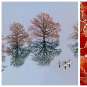 30 incredibly beautiful photos that prove that life is beautiful and amazing