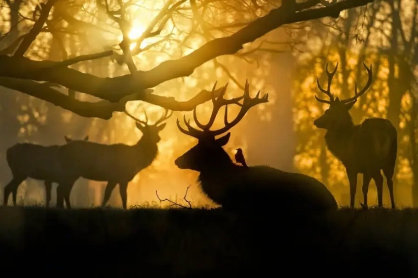 30 incredibly beautiful photos that prove that life is beautiful and amazing