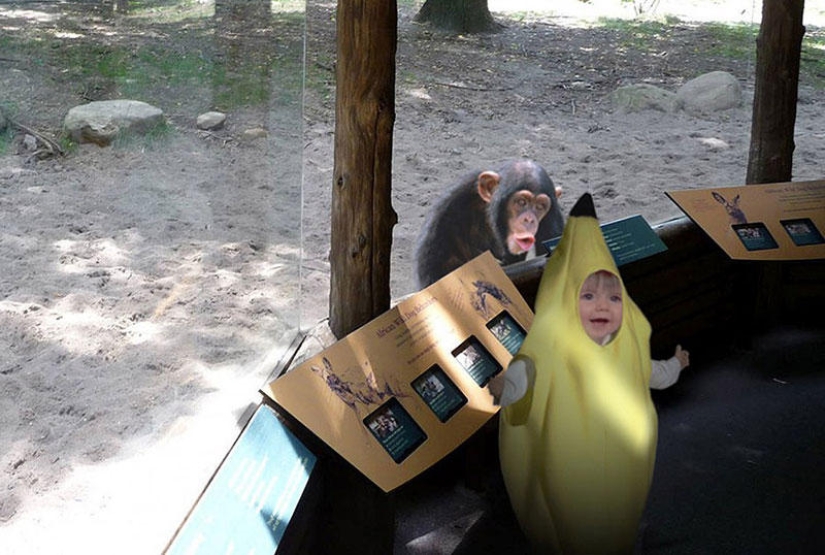 30 people who found friends at the zoo