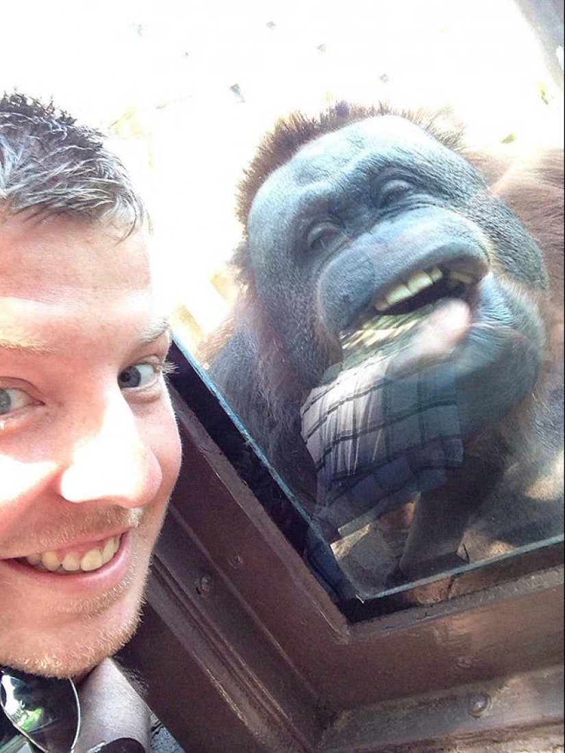 30 personas que encontraron amigos en el zoológico