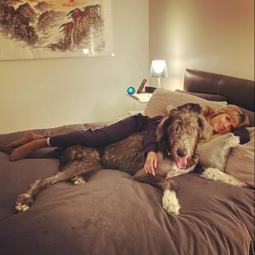 30 photos of celebrities with dogs