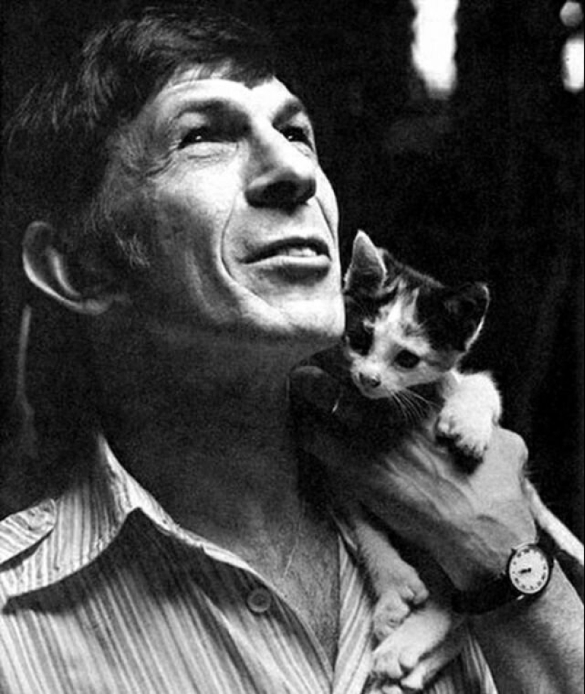 30 vintage photos of celebrities posing with their favorite cats