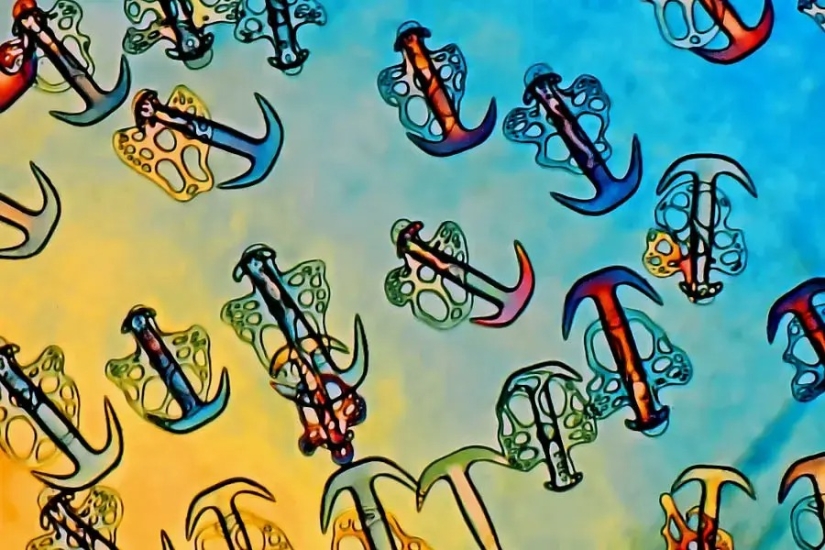 32 micrografías que cambiarán tu idea del mundo