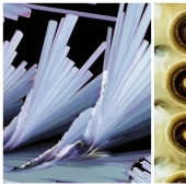 32 micrographs that will change your idea of the world
