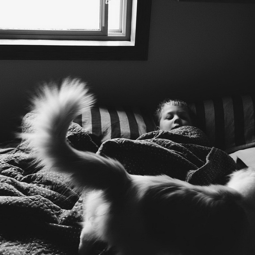 3+2. Niños y gatos fotografiados por Beth Mancuso