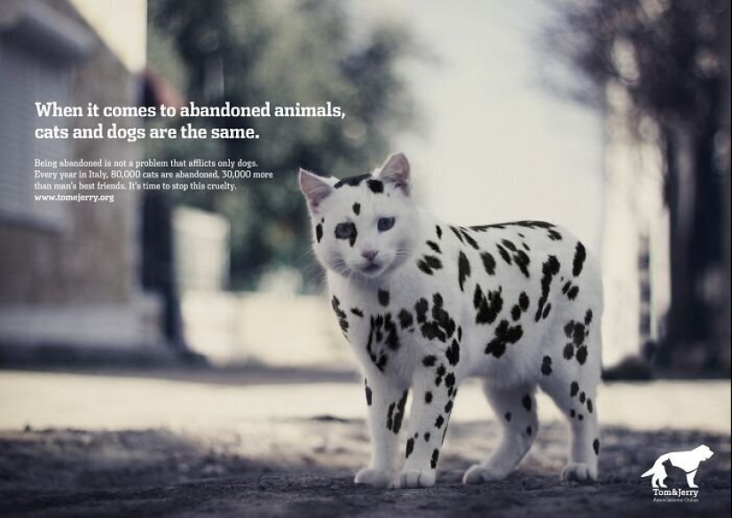 33 ejemplos de los anuncios de gatos más creativos y divertidos