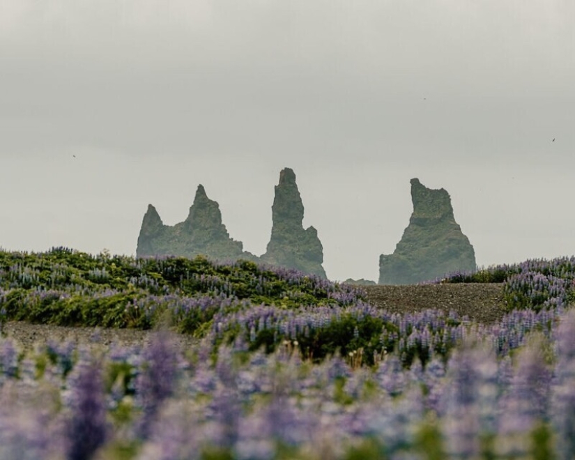 35 el impresionante paisaje de Islandia