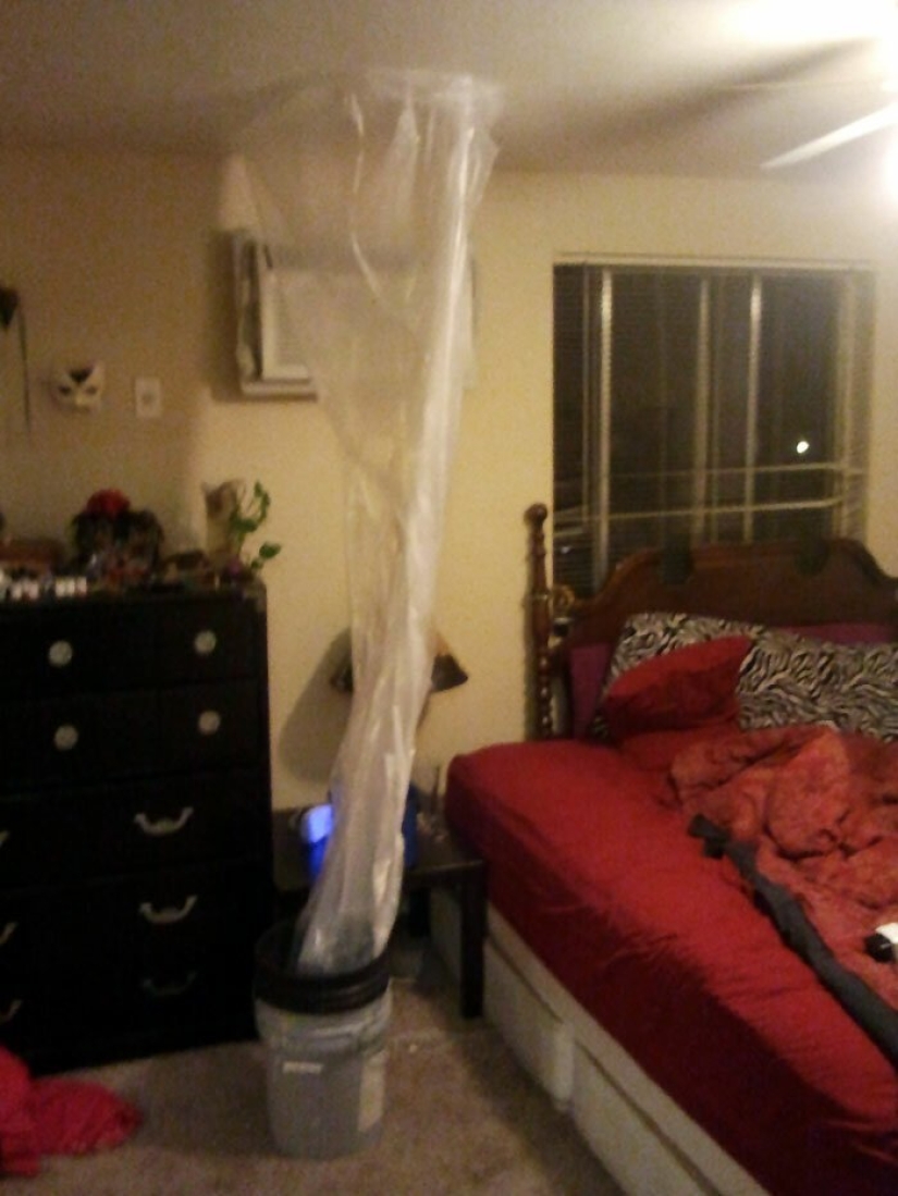 35 photos about what kind of horror you can meet in rented apartments